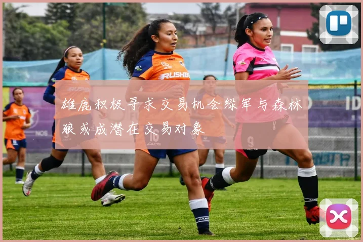 雄鹿积极寻求交易机会绿军与森林狼或成潜在交易对象