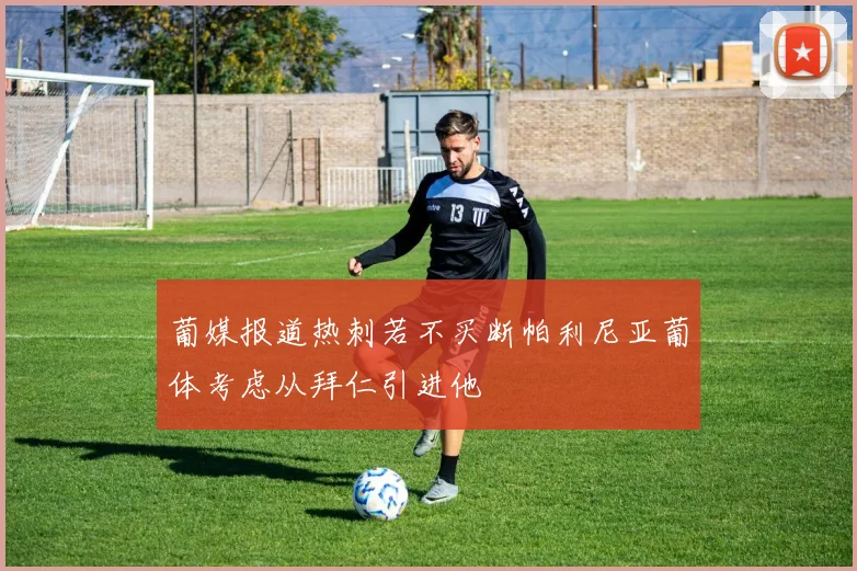葡媒报道热刺若不买断帕利尼亚葡体考虑从拜仁引进他